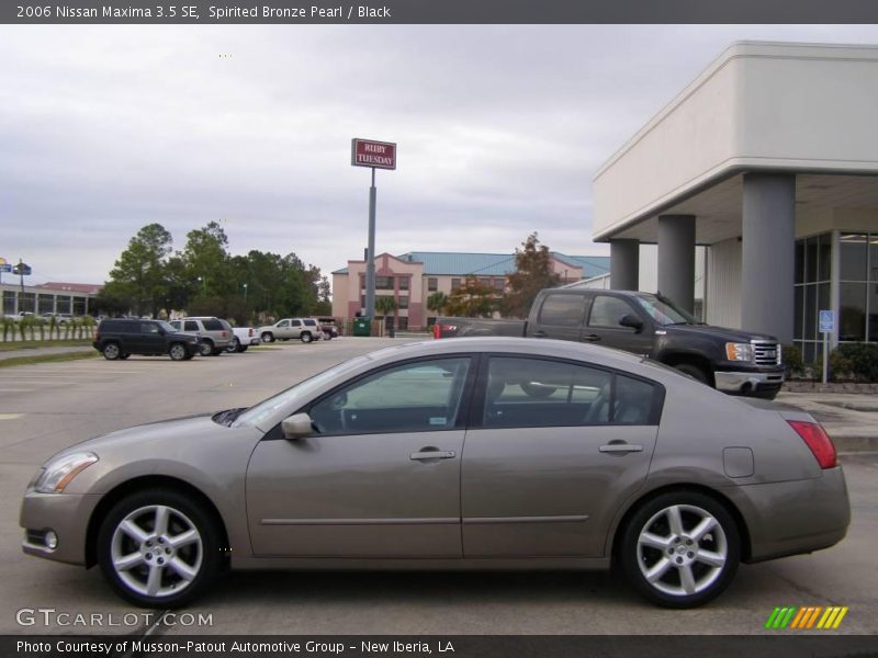 Spirited Bronze Pearl / Black 2006 Nissan Maxima 3.5 SE