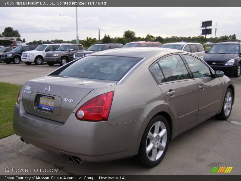 Spirited Bronze Pearl / Black 2006 Nissan Maxima 3.5 SE
