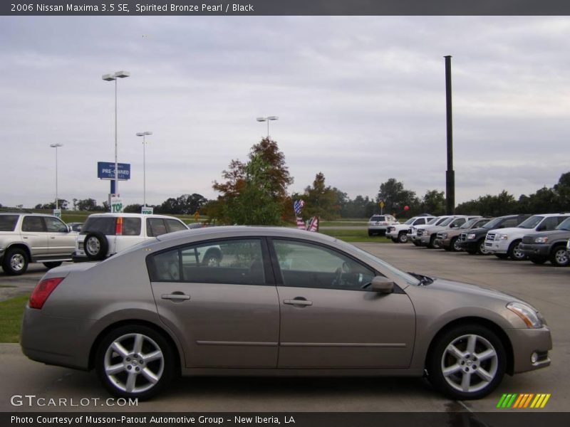 Spirited Bronze Pearl / Black 2006 Nissan Maxima 3.5 SE