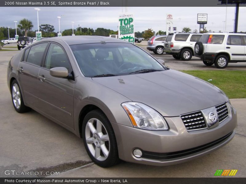 Spirited Bronze Pearl / Black 2006 Nissan Maxima 3.5 SE