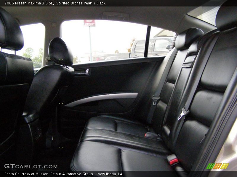 Spirited Bronze Pearl / Black 2006 Nissan Maxima 3.5 SE