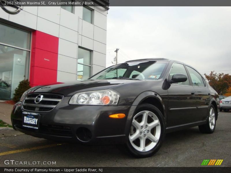 Gray Lustre Metallic / Black 2002 Nissan Maxima SE