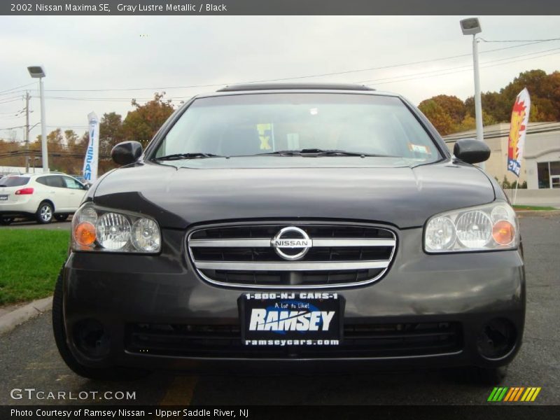Gray Lustre Metallic / Black 2002 Nissan Maxima SE