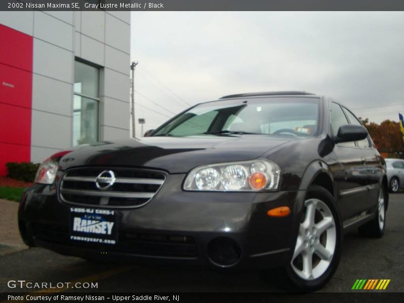 Gray Lustre Metallic / Black 2002 Nissan Maxima SE