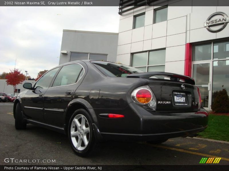 Gray Lustre Metallic / Black 2002 Nissan Maxima SE