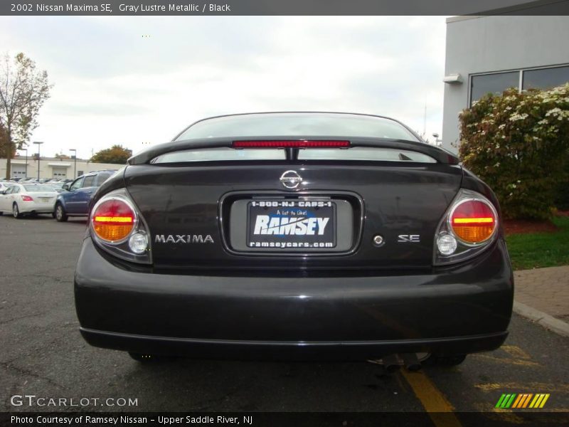 Gray Lustre Metallic / Black 2002 Nissan Maxima SE
