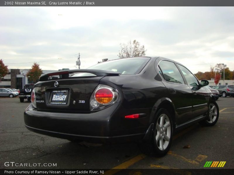 Gray Lustre Metallic / Black 2002 Nissan Maxima SE