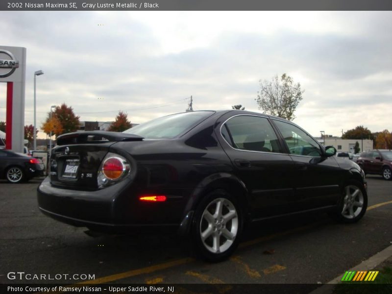 Gray Lustre Metallic / Black 2002 Nissan Maxima SE