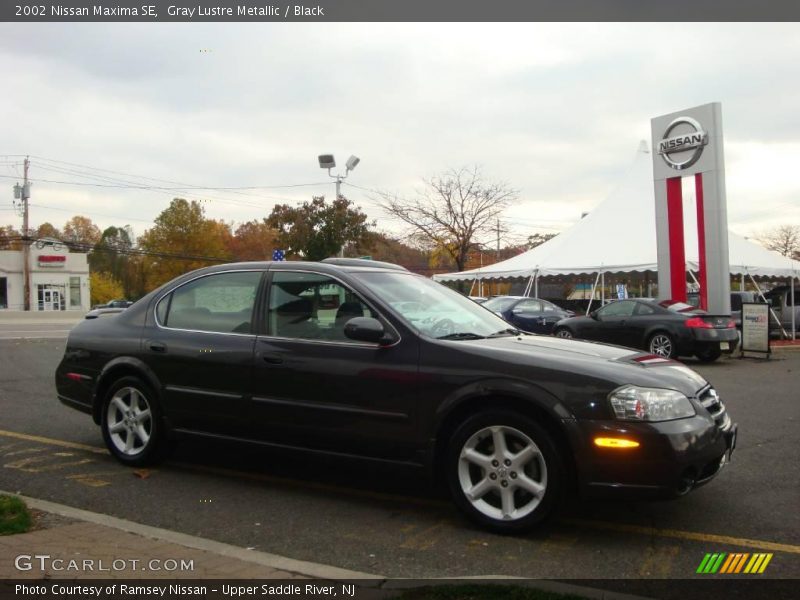 Gray Lustre Metallic / Black 2002 Nissan Maxima SE