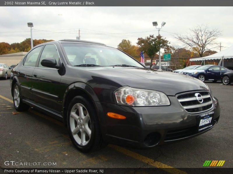 Gray Lustre Metallic / Black 2002 Nissan Maxima SE