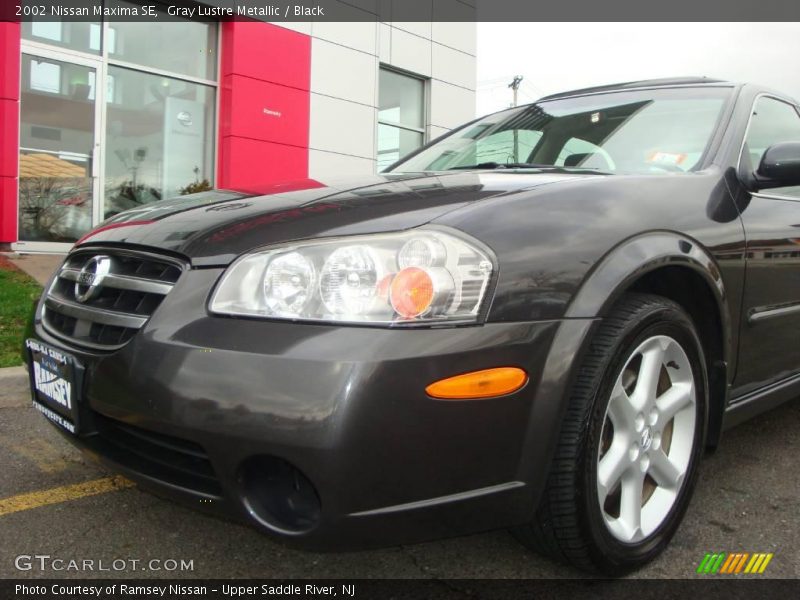 Gray Lustre Metallic / Black 2002 Nissan Maxima SE