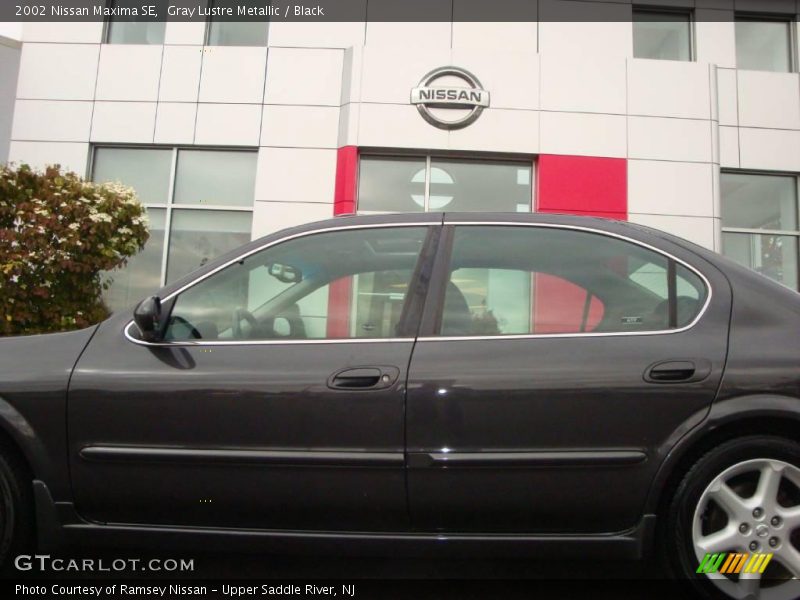 Gray Lustre Metallic / Black 2002 Nissan Maxima SE
