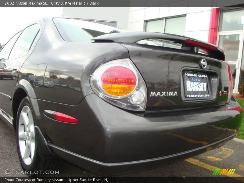 Gray Lustre Metallic / Black 2002 Nissan Maxima SE