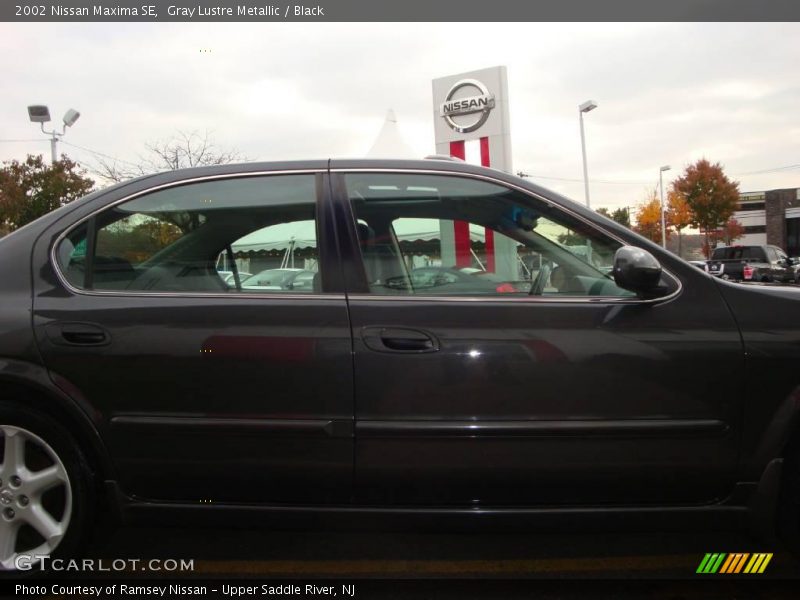 Gray Lustre Metallic / Black 2002 Nissan Maxima SE