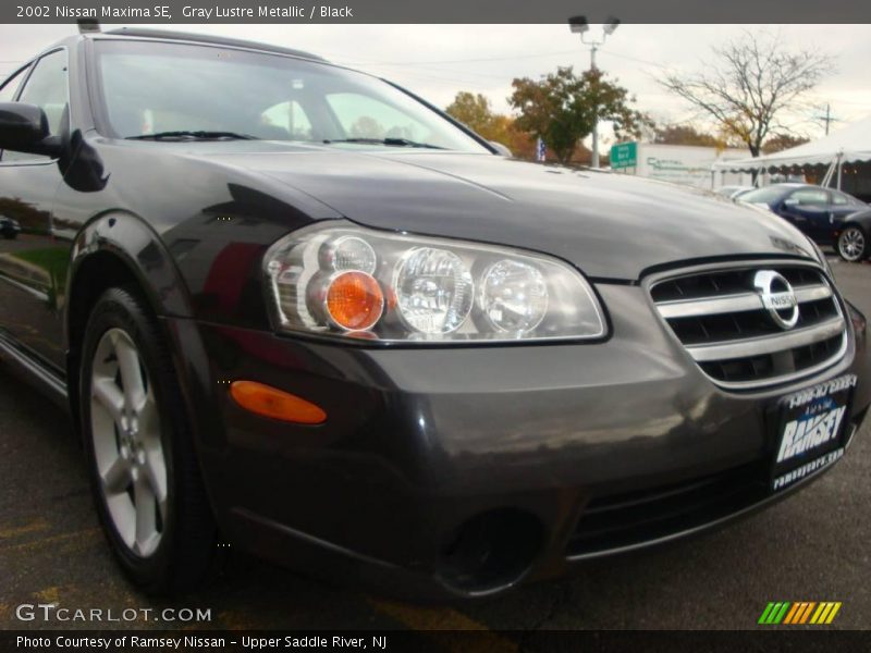 Gray Lustre Metallic / Black 2002 Nissan Maxima SE