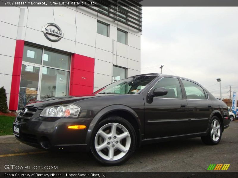 Gray Lustre Metallic / Black 2002 Nissan Maxima SE
