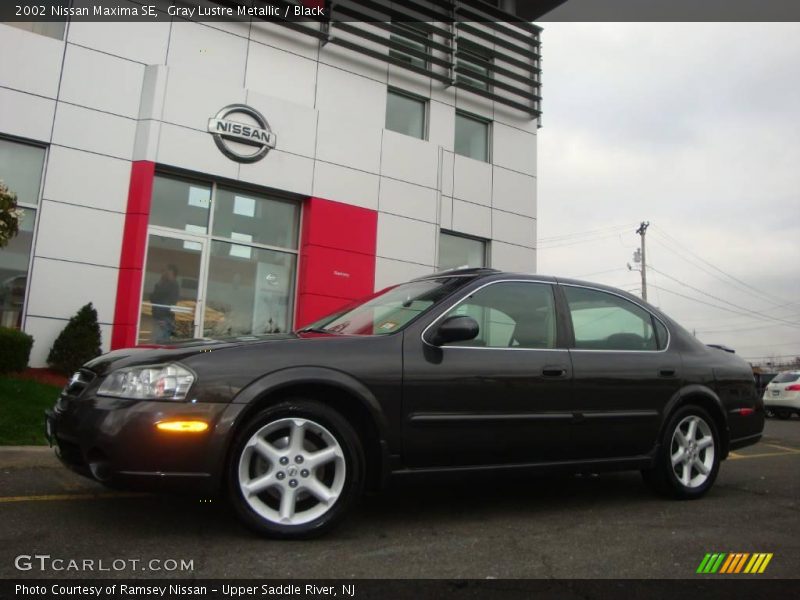 Gray Lustre Metallic / Black 2002 Nissan Maxima SE