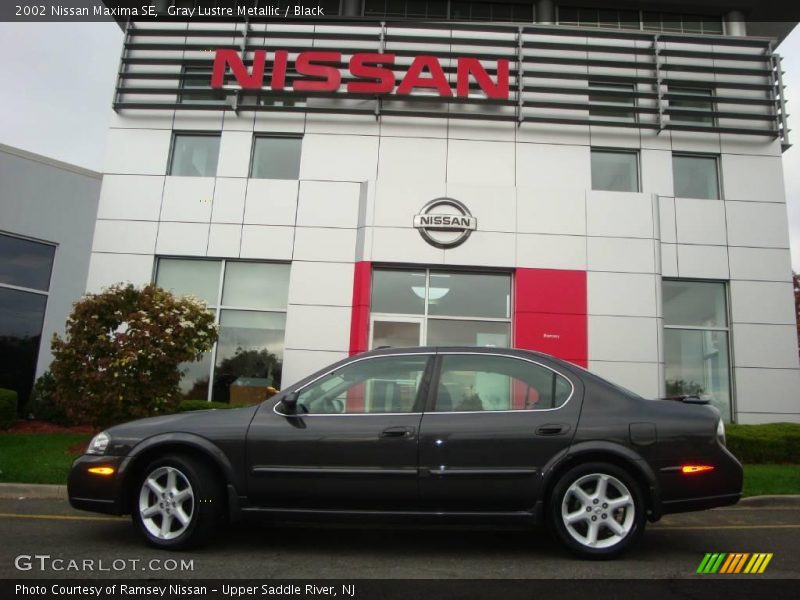 Gray Lustre Metallic / Black 2002 Nissan Maxima SE