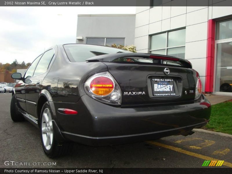 Gray Lustre Metallic / Black 2002 Nissan Maxima SE