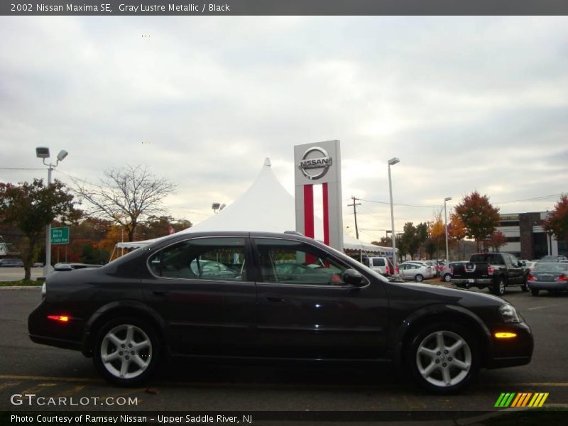 Gray Lustre Metallic / Black 2002 Nissan Maxima SE