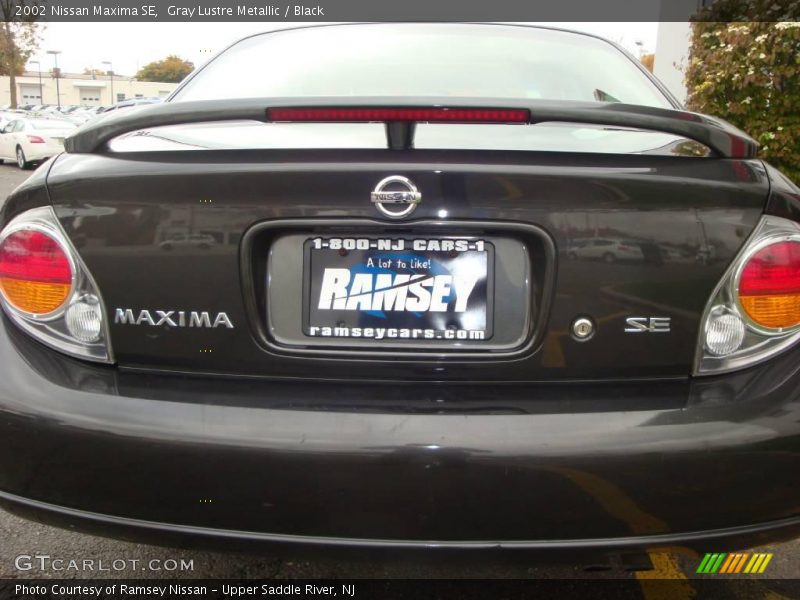 Gray Lustre Metallic / Black 2002 Nissan Maxima SE