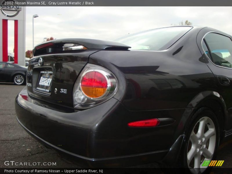 Gray Lustre Metallic / Black 2002 Nissan Maxima SE
