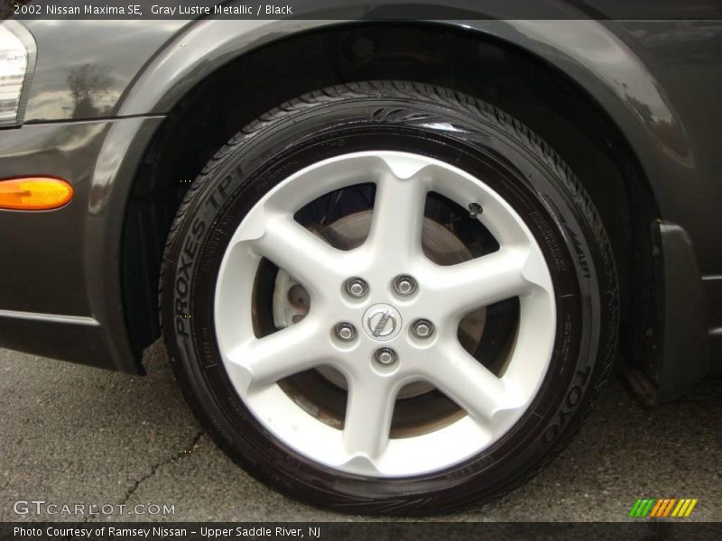 Gray Lustre Metallic / Black 2002 Nissan Maxima SE
