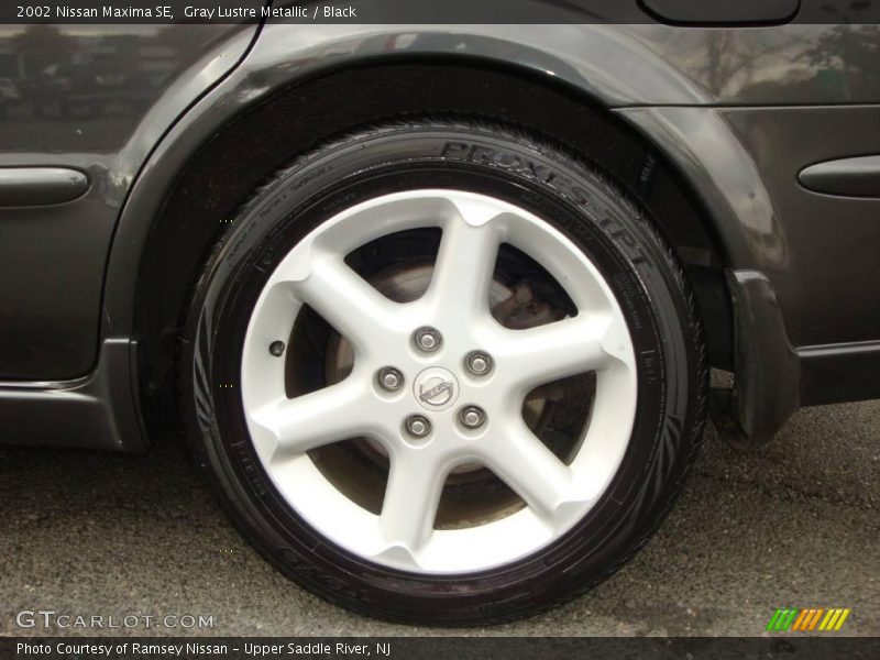 Gray Lustre Metallic / Black 2002 Nissan Maxima SE