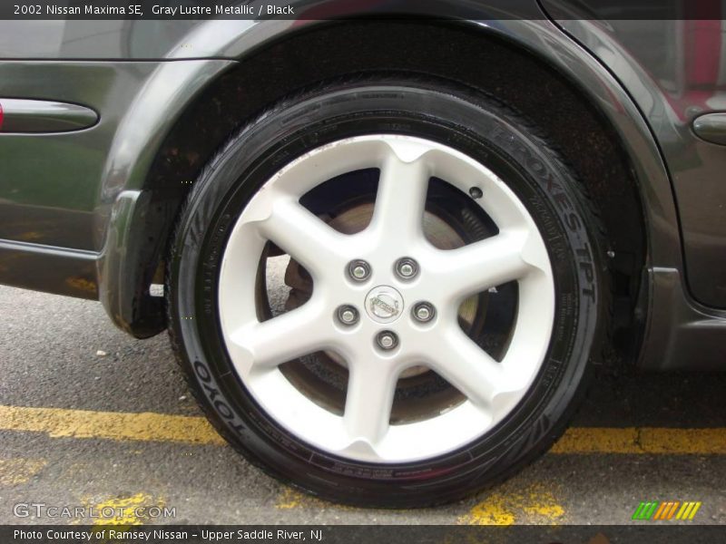 Gray Lustre Metallic / Black 2002 Nissan Maxima SE