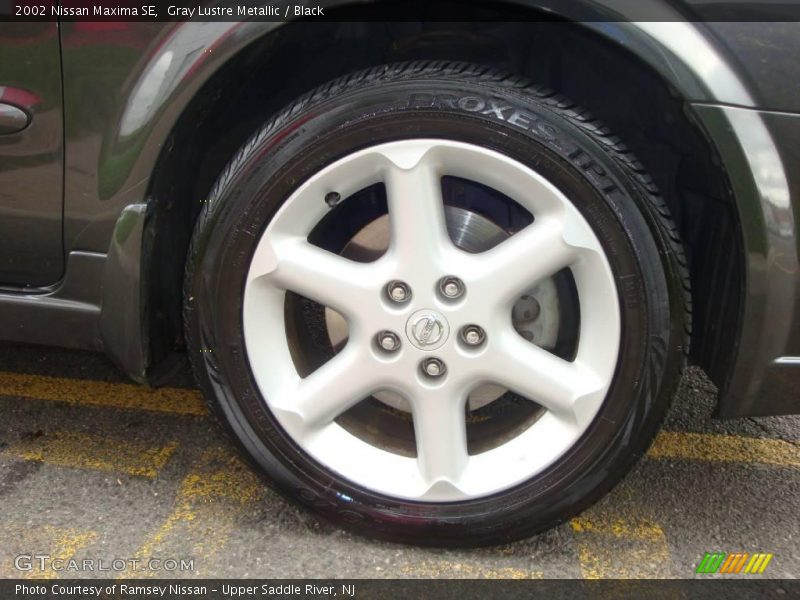 Gray Lustre Metallic / Black 2002 Nissan Maxima SE