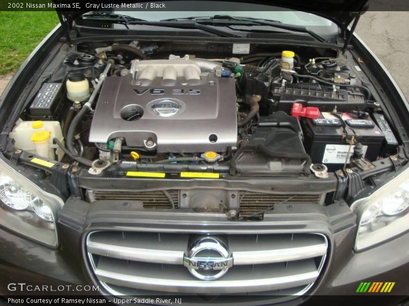 Gray Lustre Metallic / Black 2002 Nissan Maxima SE