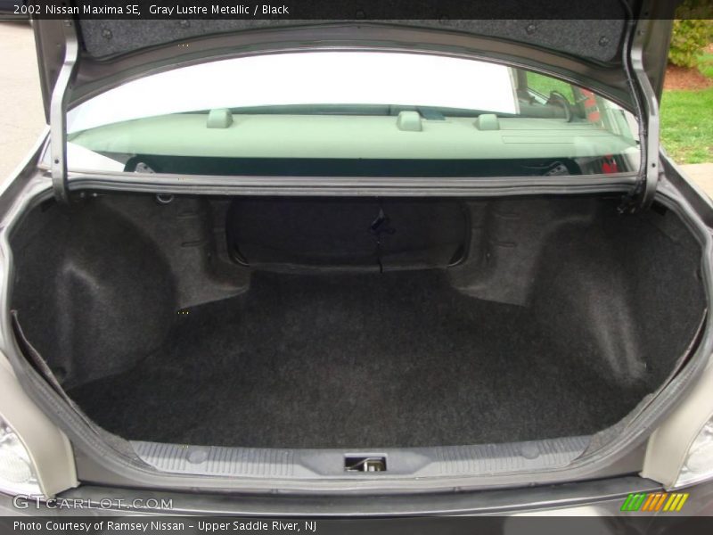 Gray Lustre Metallic / Black 2002 Nissan Maxima SE