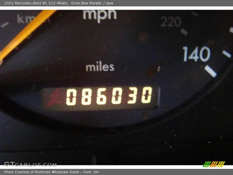 Orion Blue Metallic / Java 2001 Mercedes-Benz ML 320 4Matic