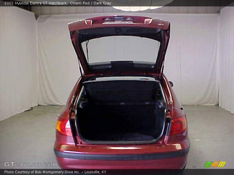Chianti Red / Dark Gray 2002 Hyundai Elantra GT Hatchback