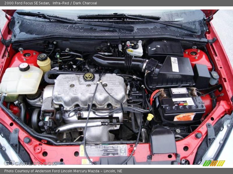 Infra-Red / Dark Charcoal 2000 Ford Focus SE Sedan