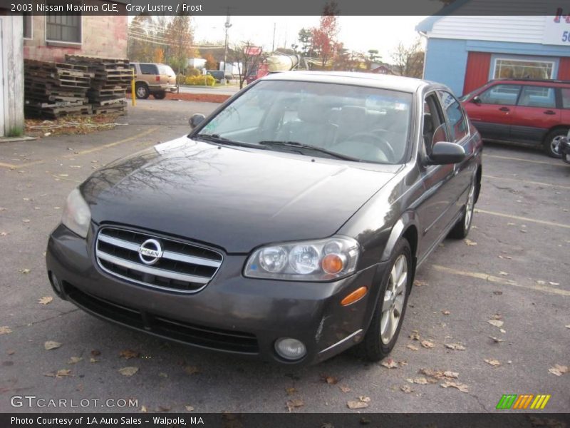 Gray Lustre / Frost 2003 Nissan Maxima GLE