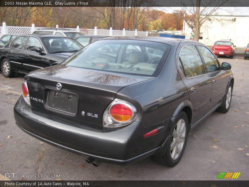 Gray Lustre / Frost 2003 Nissan Maxima GLE