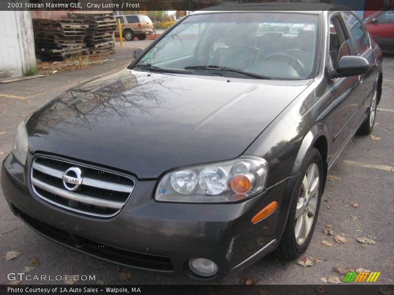 Gray Lustre / Frost 2003 Nissan Maxima GLE