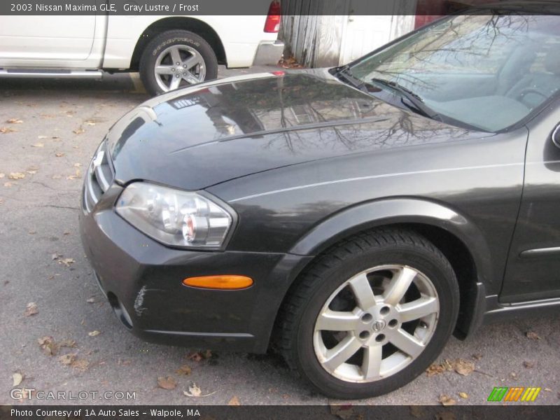 Gray Lustre / Frost 2003 Nissan Maxima GLE