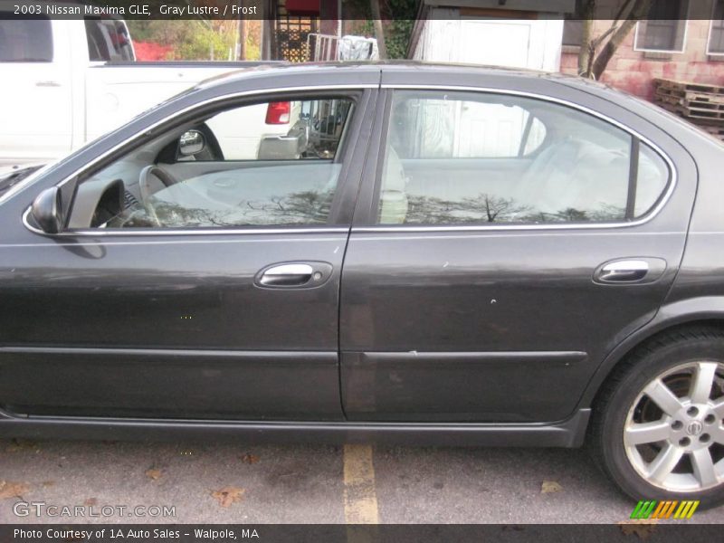 Gray Lustre / Frost 2003 Nissan Maxima GLE