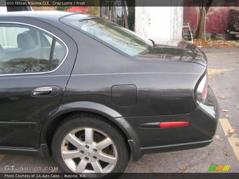 Gray Lustre / Frost 2003 Nissan Maxima GLE