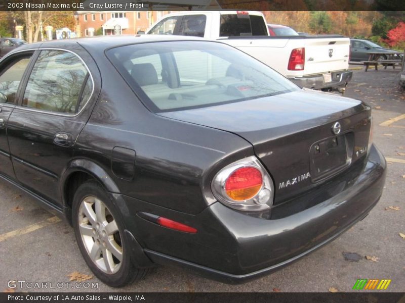 Gray Lustre / Frost 2003 Nissan Maxima GLE
