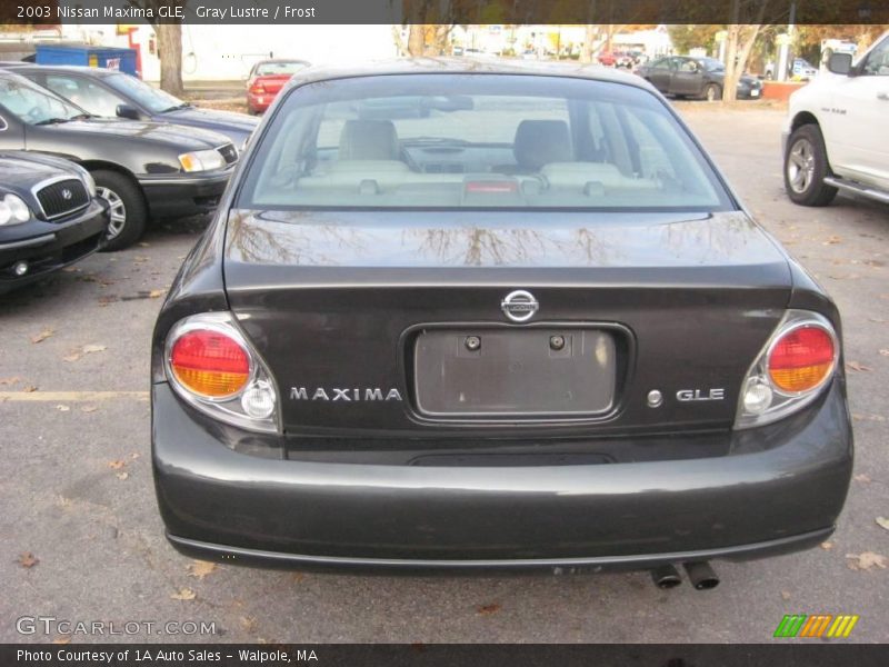 Gray Lustre / Frost 2003 Nissan Maxima GLE