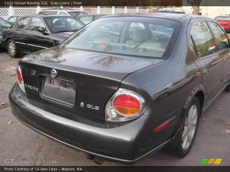 Gray Lustre / Frost 2003 Nissan Maxima GLE