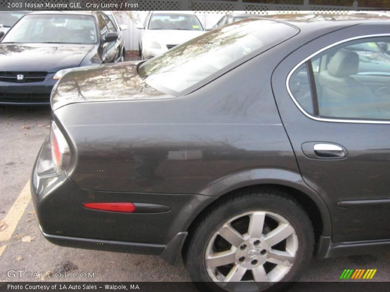 Gray Lustre / Frost 2003 Nissan Maxima GLE