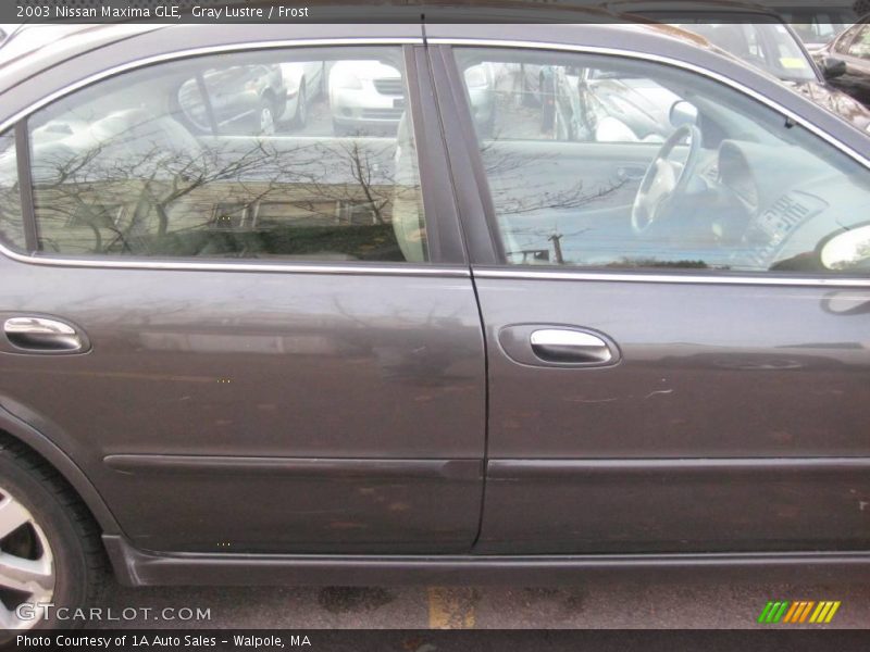 Gray Lustre / Frost 2003 Nissan Maxima GLE