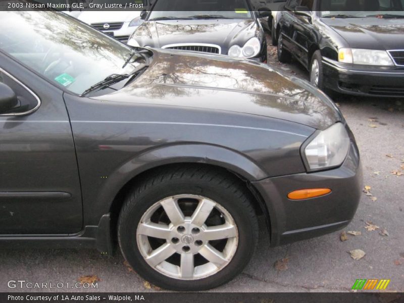Gray Lustre / Frost 2003 Nissan Maxima GLE