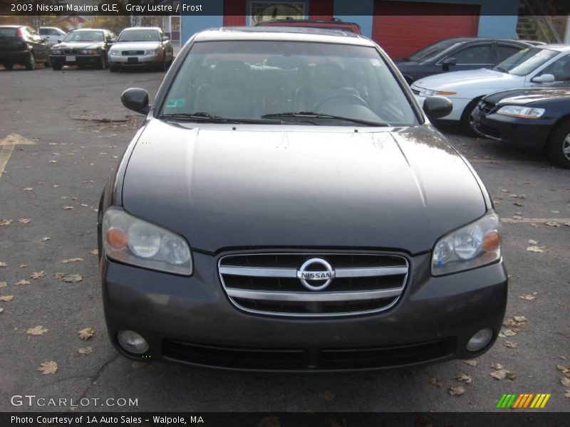 Gray Lustre / Frost 2003 Nissan Maxima GLE