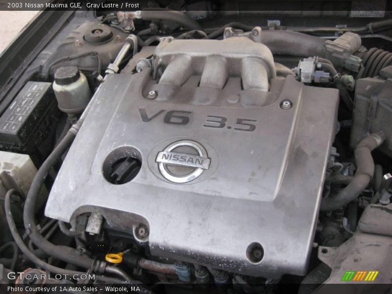 Gray Lustre / Frost 2003 Nissan Maxima GLE