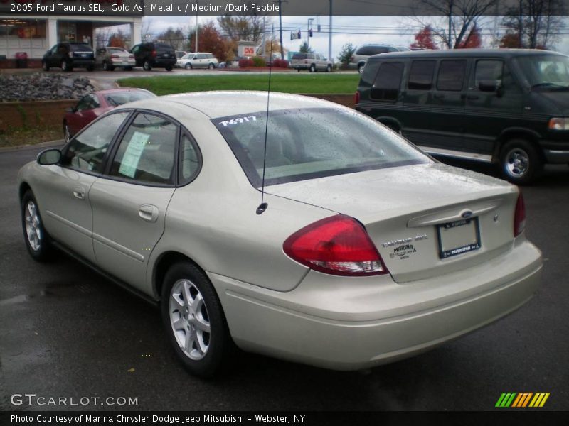Gold Ash Metallic / Medium/Dark Pebble 2005 Ford Taurus SEL
